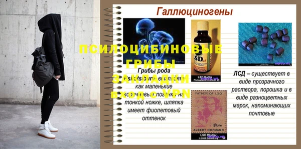 ГАЛЛЮЦИНОГЕННЫЕ ГРИБЫ Балабаново