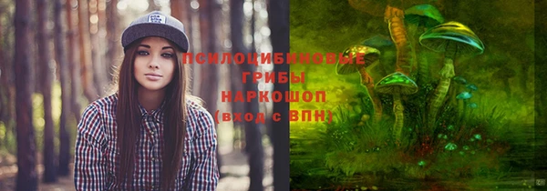 гидра Аркадак