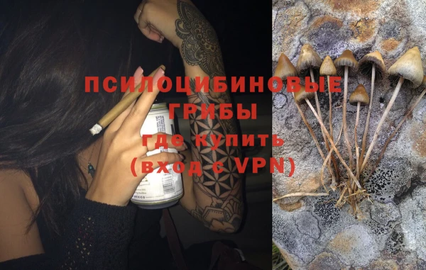 ГАЛЛЮЦИНОГЕННЫЕ ГРИБЫ Балабаново