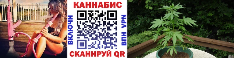 где продают наркотики Белая Калитва Бошки Шишки AK-47